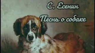Песнь о собаке. Сергей Есенин