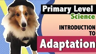 [Primary School Science] Topic - Introduction to Adaptation [Demo]