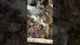 River on the side of thr Hiking Trail to Alberta Falls in Rocky Mountain National Park - Slow Motion