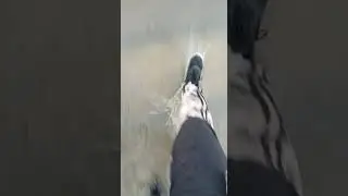 ливень и гроза
