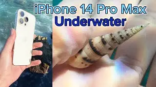 The best underwater macro camera is NOT what you think