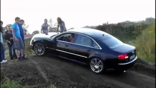 приколи на миколи