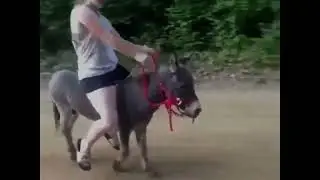 Chica en burro mini
