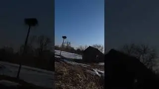ЛЯПОТА