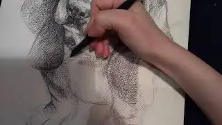 Рисунок Basset Hound тушью