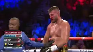 Фьюри против Шварца