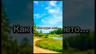 Как видят лето.... Какая версия лучше?.. ❤