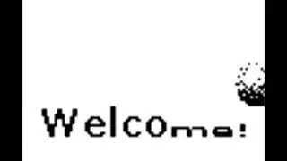 Samsung SGH-S500/E100/X460 Animations (2003/2004, External & Both Variants)