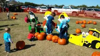 Pumpkin patch in Flower Mound, TX
