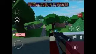 P A I N