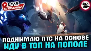 РАНГ С ОСНОВЫ + ИДЕМ В ТОП НА ПОПОЛЕ - MOBILE LEGENDS