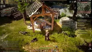Black Desert Online Brasil - Friends Parte 1