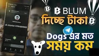 Blum দিচ্ছে টাকা। Blum airdrop payment: and withdraw.
