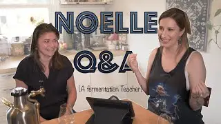 Noelle Q&A // My Fermentation Specialist Friend Answers YOUR Questions!