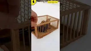 Птицы щуры в клетке 