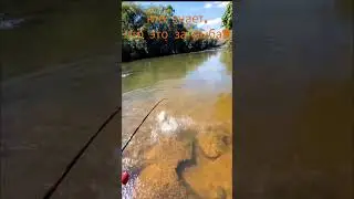 ахота на рыбалка
