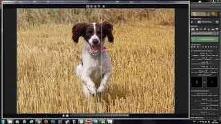 English tutorial: SHARPEN projects professional - How it works