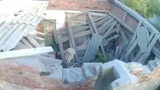крыша с другом🐇