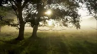 THE  STORM ( by East Meets West )