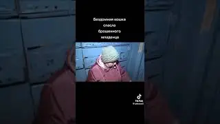 кошка Маша