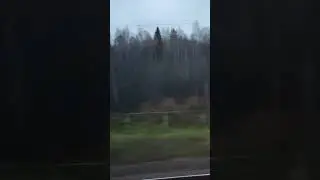 #путешествия