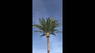 КаЛиФоРнИя, хочешь поднять настроение, езжай на море!!! Место Где ПОНЕДЕЛЬНИК ЭТО ВЕЧНАЯ ПЯТНИЦА!