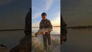 САЗАН НА РЕКЕ Или, Кунаевский мост Аралтобе Кокжиде