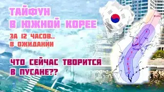 Тайфун Южной Корее 2022: за 12 часов | Typhoon South Korea | 태풍 부산