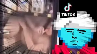 PNGTuber Reacts To TikToks