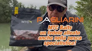 MTC Baits un fedele alleato!