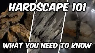 Aquarium Hardscape 101: Essential Insights!