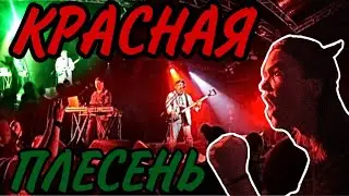 ПОНЕСЛАСЬ КОЗА ПО ИППОДРОМУ / НА СЦЕНЕ ГРУППА "Красная Плесень"