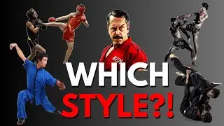 Choosing the BEST Martial Art Style for YOU