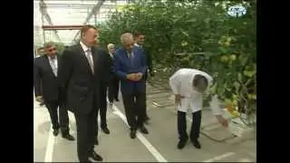 Binədə  müasir istixana kompleksi istifadəya verilib