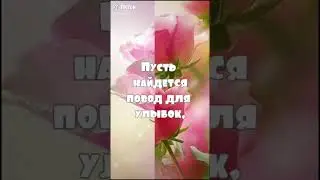 Доброго дня!!! Хорошего настроения!!! 💐💐💐