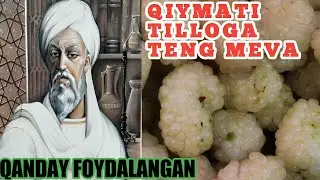 TUT mevasi xaqida malumotlar.