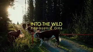 INTO THE NORWEGIAN WILD - Panasonic GH6