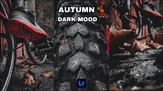 How To Edit Dark Autumn Photo | Dark Cinematic Autumn Lightroom Preset. pt 2