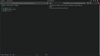 Intro to Python chapter 2.0, Building a timer