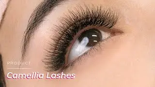 Volume Set with Promade Fans Camellia 5D 0.07 CC Curl