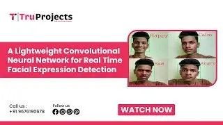 A Lightweight Convolutional Neural Network for Real Time Facial Expression Detection