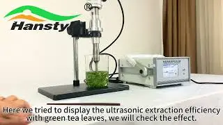20KHz Ultrasonic Homogenizer Plants Elements Extraction Like Fresh Green Tea