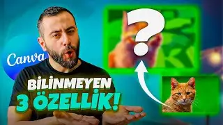 Canva'da Bilmediğin 3 ÖZELLİK! | Canva Dersleri