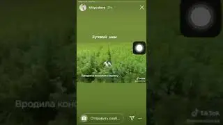 Садовий (Доля) нормальний Український політик.Легалізація маріхуани.