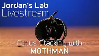 Focus Stacking with a Mothman Statue - Jordan's Lab Livestream