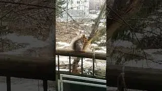 Мокрая Чернышка