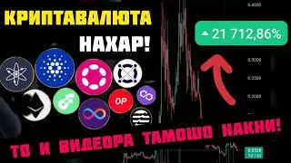 Чхел крипавалюта харем ки 21000% зиёд шава. Таҳлили криптавалюта✅️