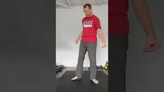Cross Step 十字步 Snake form 蛇