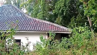 🔴 EXPLORE CEK LOKASI RIMBUN