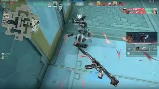 Shoti Comms